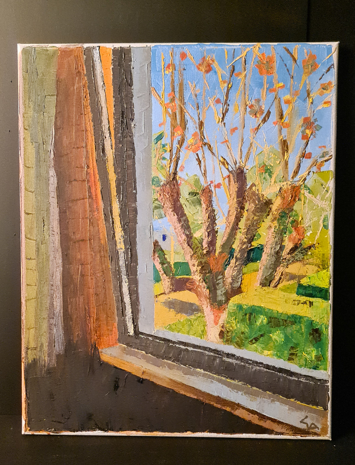 View from the Window